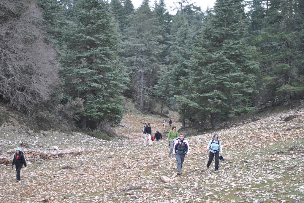 Tamanoucht Hotel Ifrane  Kültér fotó